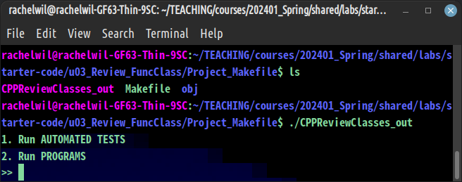 build_terminal_makefile_run.png