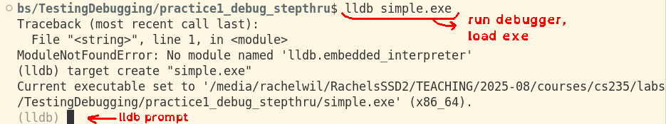 lldb-start.png