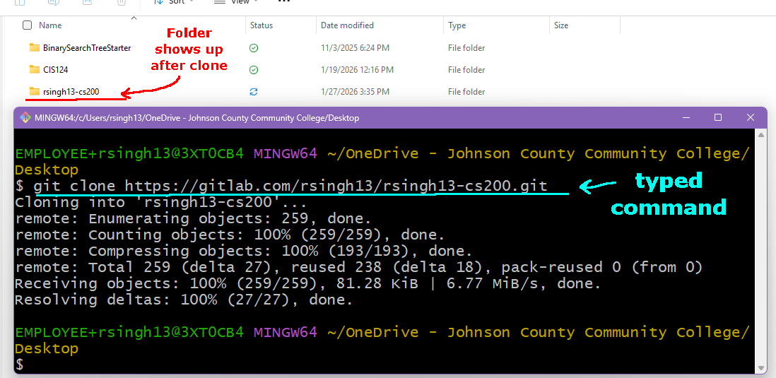 gitbash-clone.png