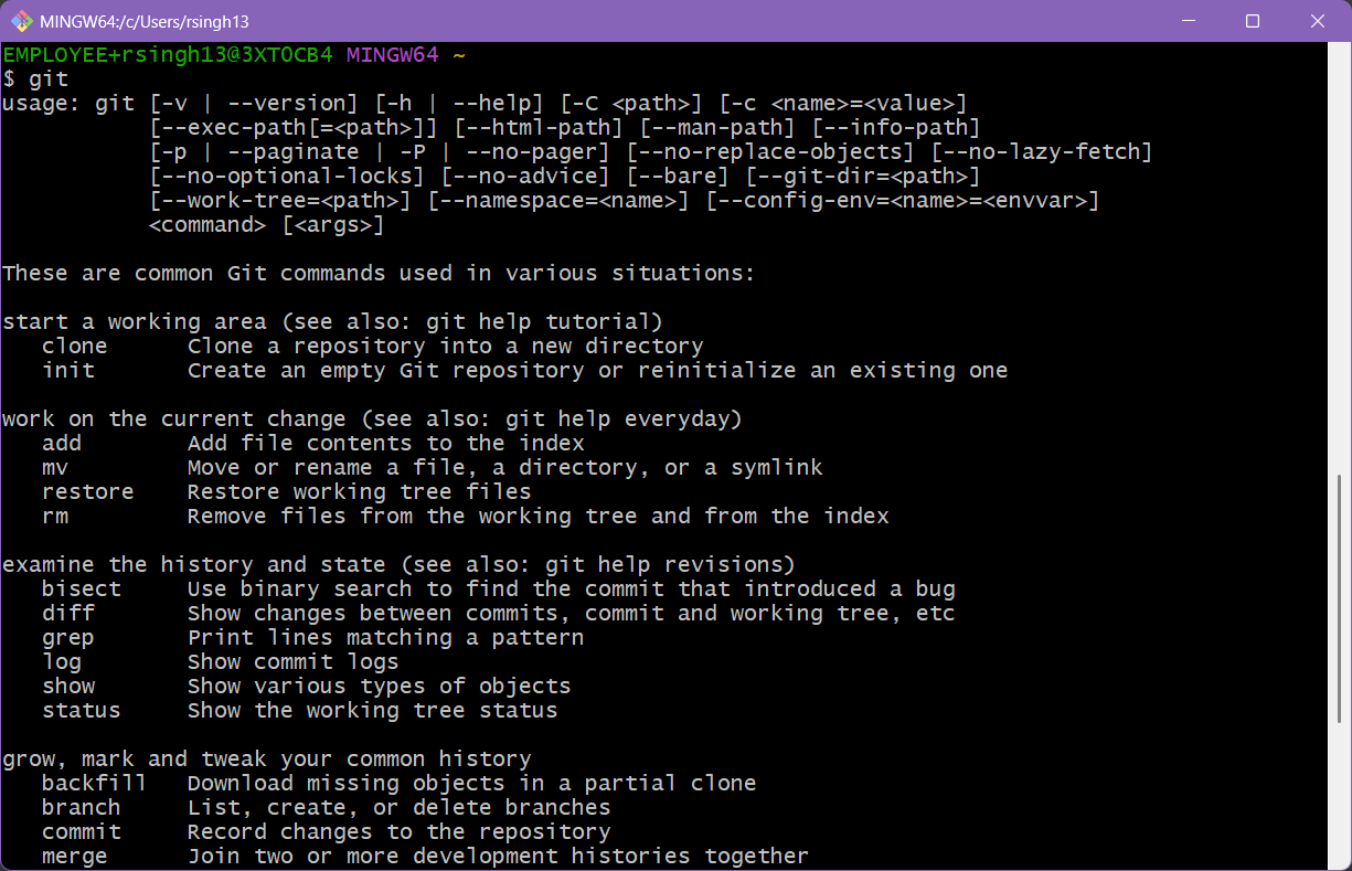 gitbash_git.png