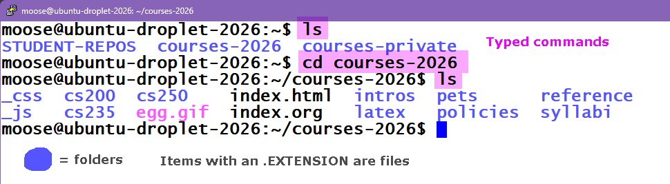 linux-cd.png