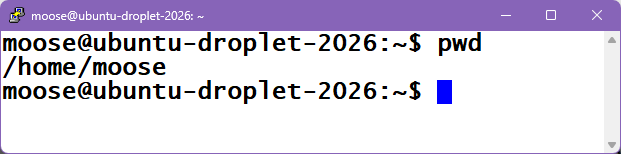 linux-pwd.png
