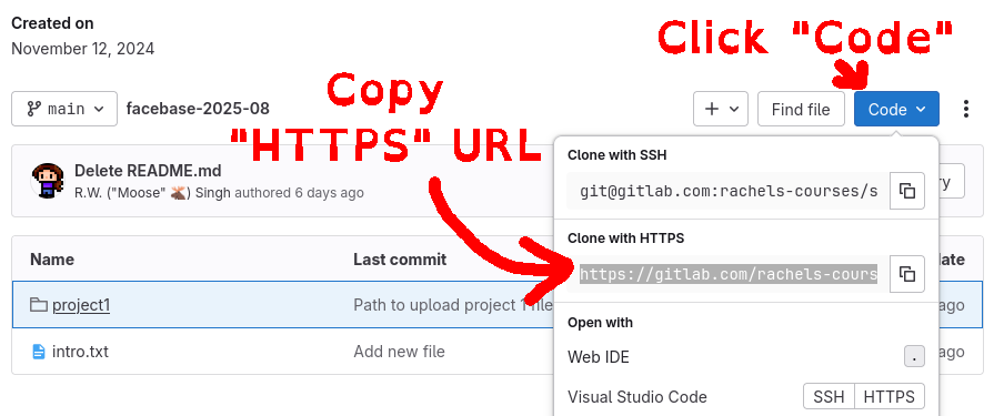 vscode_clonerepo_copyurl2.png